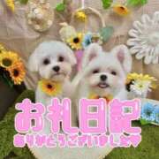 ヒメ日記 2025/09/04 15:57 投稿 カレン 電マナイザー イラマチオン