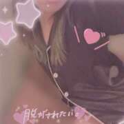 ヒメ日記 2025/12/20 00:55 投稿 かなえ ぺろぺろベロベロ専科 ぺろんちょ