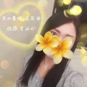 ヒメ日記 2025/09/12 00:18 投稿 佐原すみか 月の真珠-五反田-