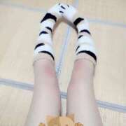 ヒメ日記 2025/11/03 00:06 投稿 佐原すみか 月の真珠-五反田-