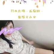ヒメ日記 2025/11/05 13:30 投稿 佐原すみか 月の真珠-五反田-