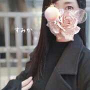 ヒメ日記 2025/12/12 01:20 投稿 佐原すみか 月の真珠-五反田-