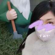 ヒメ日記 2026/01/31 17:00 投稿 佐原すみか 月の真珠-五反田-