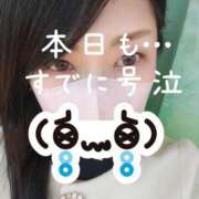 ヒメ日記 2026/03/12 11:30 投稿 佐原すみか 月の真珠-五反田-