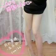 ヒメ日記 2026/03/27 12:22 投稿 佐原すみか 月の真珠-五反田-