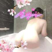 ヒメ日記 2026/03/30 00:20 投稿 佐原すみか 月の真珠-五反田-