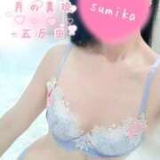 ヒメ日記 2026/06/26 10:35 投稿 佐原すみか 月の真珠-五反田-