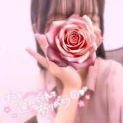 ヒメ日記 2025/09/10 16:14 投稿 いつき 学園collection