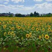 ヒメ日記 2026/08/18 13:29 投稿 おとめ もしも優しいお姉さんが本気になったら...横浜店