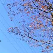 ヒメ日記 2026/10/13 10:19 投稿 おとめ もしも優しいお姉さんが本気になったら...横浜店