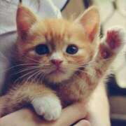 ヒメ日記 2026/02/19 06:46 投稿 矢田あおい 五十路マダムエクスプレス船橋店(カサブランカグループ)