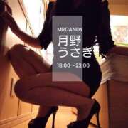 ヒメ日記 2025/11/07 02:13 投稿 月野うさぎ ミスターダンディー