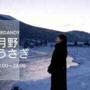 ヒメ日記 2025/11/07 16:23 投稿 月野うさぎ ミスターダンディー