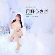 月野うさぎ 🐰えびすのひかり🐰【お礼写メ日記】 ミスターダンディー