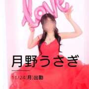 月野うさぎ 🐰次回出勤11/24(月)🐰 ミスターダンディー