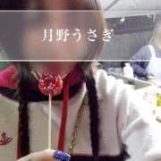 月野うさぎ 🐰酉の市🐰 ミスターダンディー