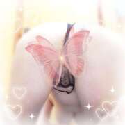 ヒメ日記 2026/03/13 14:48 投稿 藍埼宏美 五十路マダム 徳島店