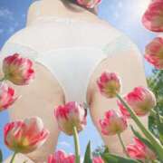 ヒメ日記 2026/04/12 14:34 投稿 藍埼宏美 五十路マダム 徳島店