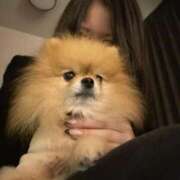 ヒメ日記 2025/11/18 14:13 投稿 れいか Ribbon～リボン～(池袋)