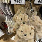 ヒメ日記 2025/11/20 17:19 投稿 りり 大阪和泉ちゃんこ