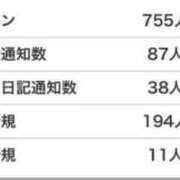 モミジ ?ありがとう?いつもより長い日記です? マテリアル