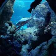 ヒメ日記 2025/09/04 16:36 投稿 かよの とある風俗店♡やりすぎさーくる新宿大久保店♡で色んな無料オプションしてみました