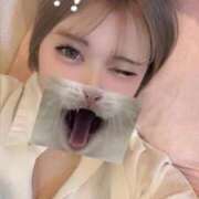 ヒメ日記 2026/01/24 15:09 投稿 めい 帯広黒い金魚