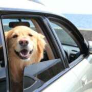 ヒメ日記 2025/10/15 16:16 投稿 ぼたん(ぼたん) 厚木奥様Life