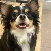 ヒメ日記 2025/09/01 20:56 投稿 まこも 久留米デリヘルセンター