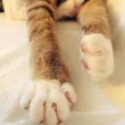 ヒメ日記 2025/09/15 19:46 投稿 まこも 久留米デリヘルセンター