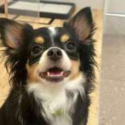 ヒメ日記 2025/09/16 03:06 投稿 まこも 久留米デリヘルセンター