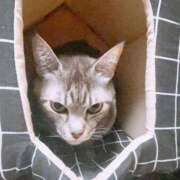 ヒメ日記 2025/09/16 15:37 投稿 まこも 久留米デリヘルセンター