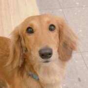 ヒメ日記 2025/09/16 18:56 投稿 まこも 久留米デリヘルセンター