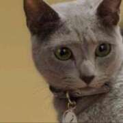 ヒメ日記 2025/09/18 16:56 投稿 まこも 久留米デリヘルセンター