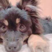 ヒメ日記 2025/09/19 09:46 投稿 まこも 久留米デリヘルセンター