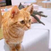 ヒメ日記 2025/09/24 19:56 投稿 まこも 久留米デリヘルセンター