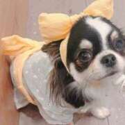 ヒメ日記 2025/09/26 23:06 投稿 まこも 久留米デリヘルセンター