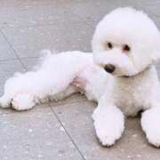 ヒメ日記 2025/09/30 16:06 投稿 まこも 久留米デリヘルセンター