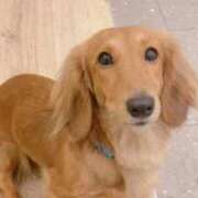 ヒメ日記 2025/10/02 14:26 投稿 まこも 久留米デリヘルセンター