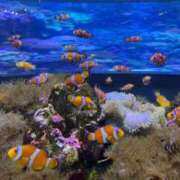 ヒメ日記 2025/10/17 13:56 投稿 まこも 久留米デリヘルセンター