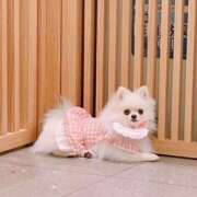 ヒメ日記 2025/11/15 02:26 投稿 まこも 久留米デリヘルセンター