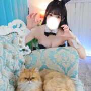 ヒメ日記 2025/11/30 13:53 投稿 のあ TOKYO BUNNYS CLUB