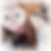 ヒメ日記 2026/01/31 10:41 投稿 うた 西川口ビデオdeはんど