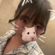 ヒメ日記 2025/09/11 20:02 投稿 MELO Club SEXY