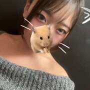 ヒメ日記 2025/10/11 21:04 投稿 MELO Club SEXY