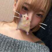 ヒメ日記 2025/11/01 20:59 投稿 MELO Club SEXY