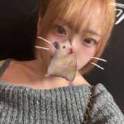 ヒメ日記 2025/11/05 20:58 投稿 MELO Club SEXY