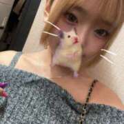 ヒメ日記 2025/11/12 21:00 投稿 MELO Club SEXY