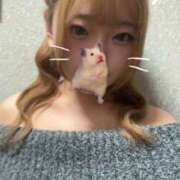 ヒメ日記 2025/11/15 21:02 投稿 MELO Club SEXY