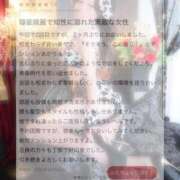 ヒメ日記 2025/10/31 15:52 投稿 せいら マリン千葉店